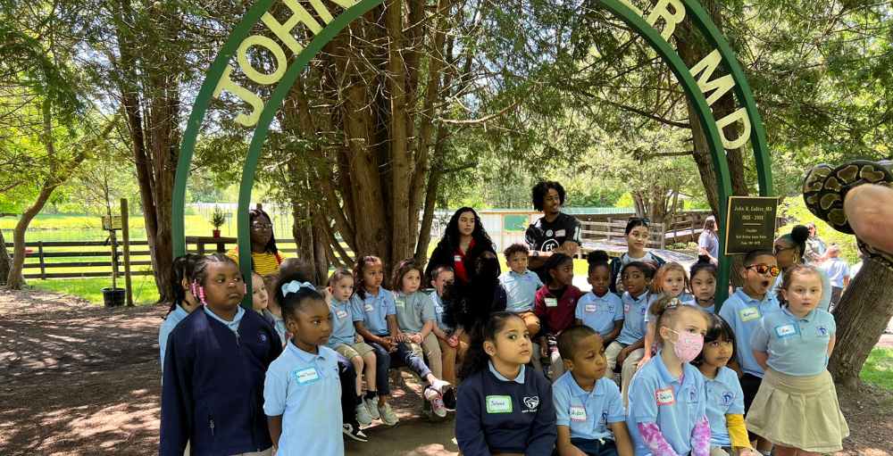 Utica Academy of Science elementary school’s kindergarten students discovered all creatures great and small on a field trip to the Fort Rickey Discovery Zoo.
